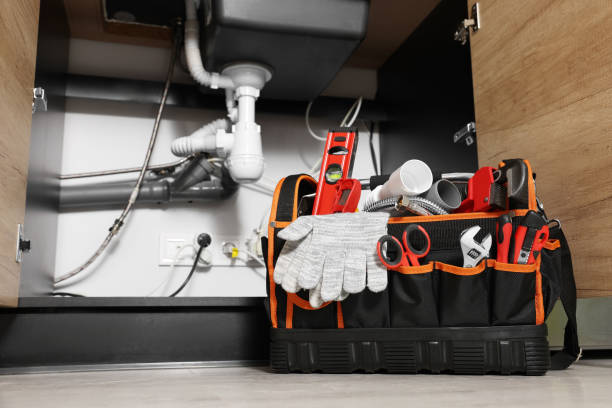 Best Septic Systems  in La Nte, MO